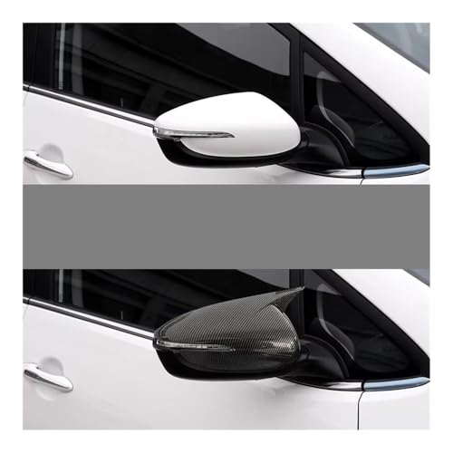 Coque protection extérieure aspect carbone premium pour Forte 2 - 4