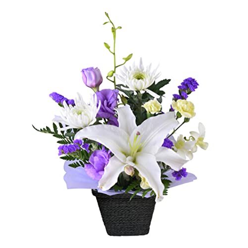 Ԃ̃Mtg     Ȃ   ފ ~  