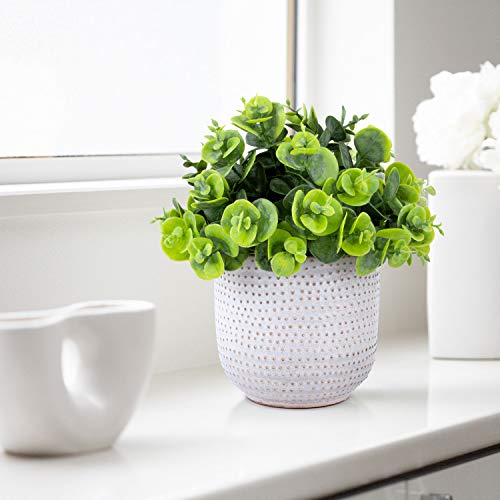 Karlliu KL-AP3002 Fake Lysimachia Plants In Ceramic Pot Artificial Succulents Flowers Potted thumb #4