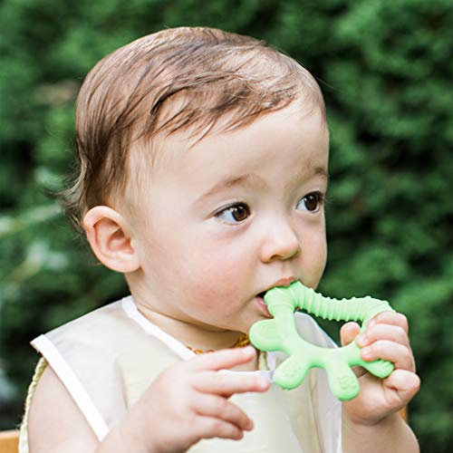 Image of Green Sprouts, Teether Front and Side Green 6 Months, 1 Count