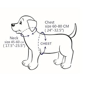 Dogs Kingdom 26″-34″ Soft Leather Dog Harness Large for Pit Bull, Boxer, Bull Terrier Black