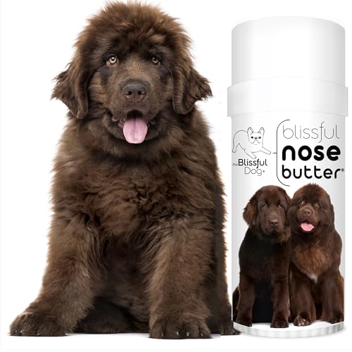Image of The Blissful Dog Bronze Newfoundland Nose Butter, 2OZ