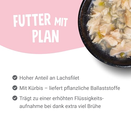 Pets Deli Suppe für Katzen mit Lachs & Kürbis, 12x40g