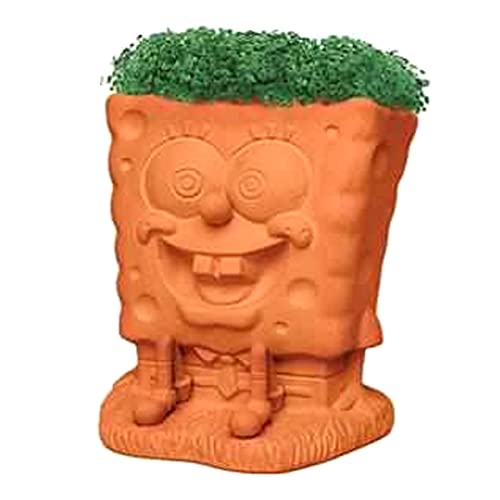 Chia Pet with Seed Pack, Decorative Pottery Planter, Easy to Do and Fun to Grow, Novelty Gift, Perfect for Any Occasion