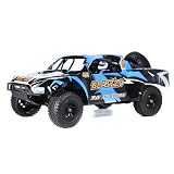 Toucan RC Hobby voiture 1/8 tout-terrain prêt à rouler RH820 photo 1