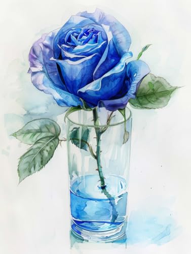 Kit de point de croix 14CT toile pré-imprimée rose bleue 60x80cm