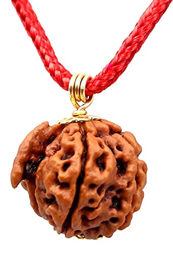 MITHILA HANDICRAFTS Ganesh Mukhi Rudraksha | Original | Lab Certified