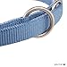 Wolters Führleine Professional, Farbe:Riverside Blue, Größe:L 300 cm x 20 mm (extra lang)