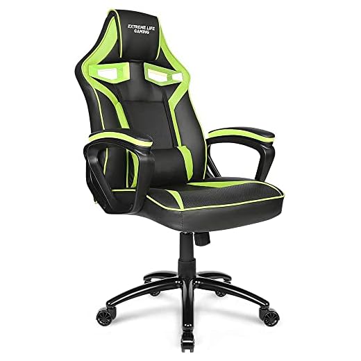 Cadeira Gamer Raptor com Apoio Lombar, Descansa Braços, Ajuste de Altura