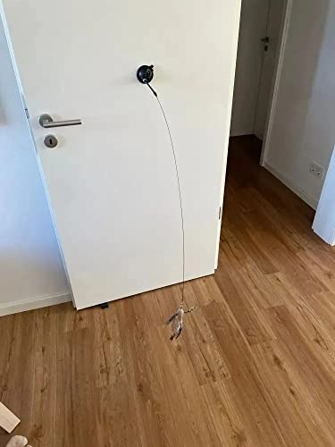 Brinquedo Interativo para Gato Varinha Com Ventosa Fixar Chão Vidro Porta com Bichinho e Guizo (Pass