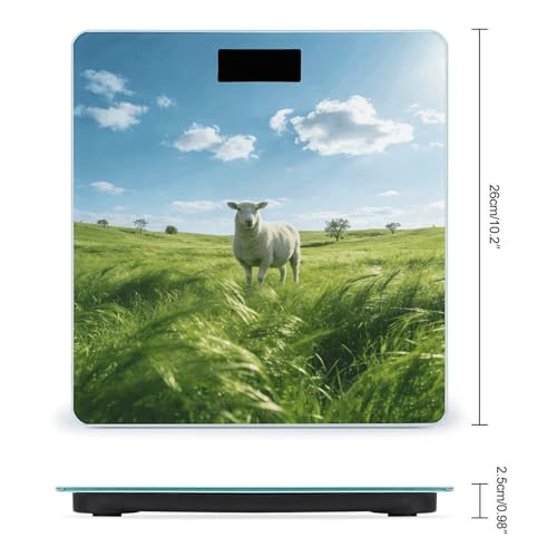 Báscula Digital Green Prairie Stroll, Hasta 180 kg miniatura 2