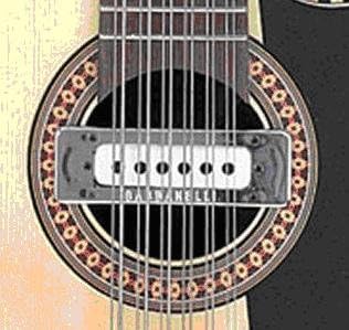 Amazon.com: Gabbanelli Bajo Sexto - Pick Up - w/Volume : Musical ...