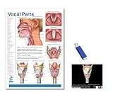 Blue Tree Publishing Vocal Parts, Pharynx & Larynx Anatomy Reference Card with Larynx ID Software on USB
