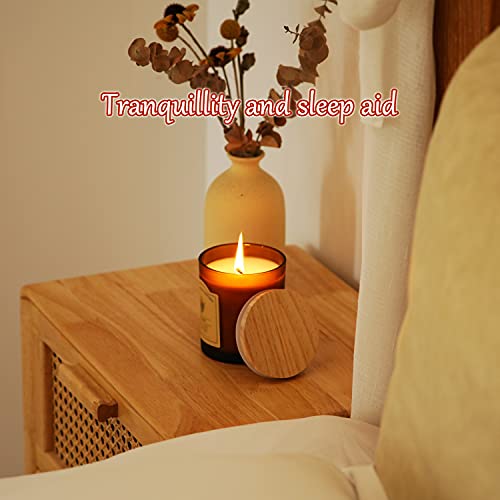 Cinnamon Scented Candles, Candles For Home Scented, 100% Natural Soy Wax Candles With Essential Oils, Premium Beeswax Candles Gifts For Friends, 9.2 Oz Clean Burning (Cinnamon+Apple Warm Scent #TOP5