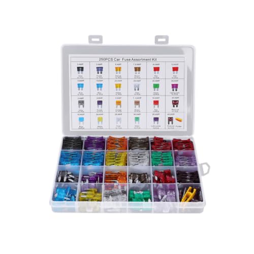 Kit de 250 fusibles para automóvil con diseño de inserción y material ABS aleación de zinc, juego de fusibles portátiles para auto y camión con caja de almacenamiento miniatura 1