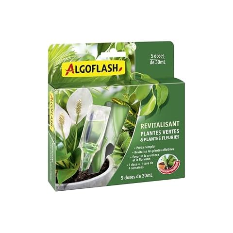 ALGOFLASH Monodose Revitalisante Cover