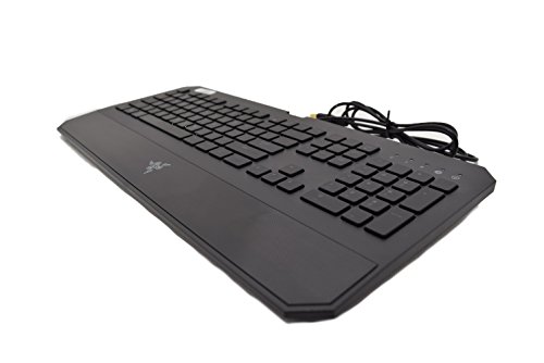Razer DeathStalker Chroma RGB Wired Gaming Keyboard (RZ03-01500100