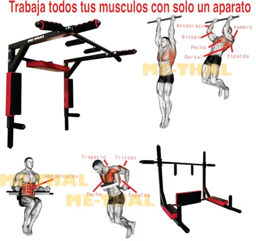 La Mejor comparativa de Barra bíceps disponible en línea. 33 Imagen adicional
