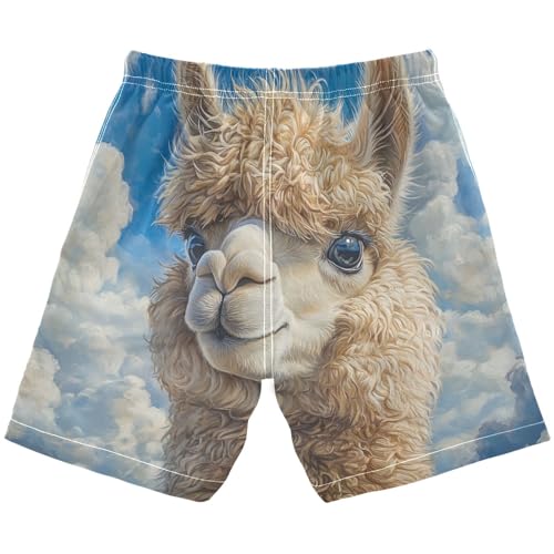 DOMIKING Sky Alpaca Blue Boys' Pull On Swim Trunks Quick Dry Boardshorts with Mesh Lining for Swimming Hiking M2