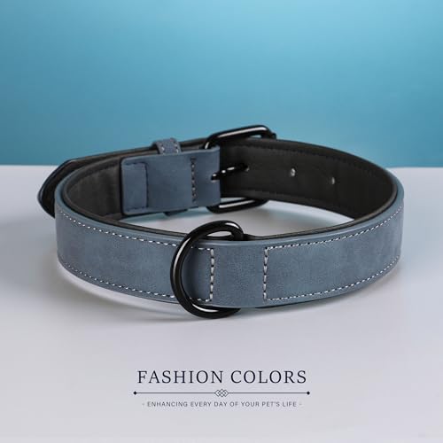 Image of Didog Soft PU Leather Dog Collar, Breathable Padded, Blue, Neck 18-22 inch