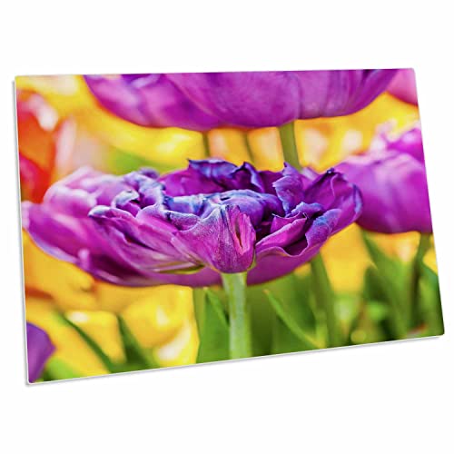 3dRose Tulips Enchanting - Pad de Escritorio Grande