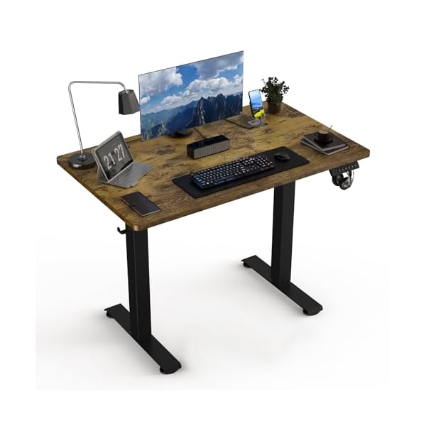40 * 24 Electric Standing Desk, Adjustable Height Sit Stand Up Desk, Motorized Home Office Computer Gaming Workstation Desk