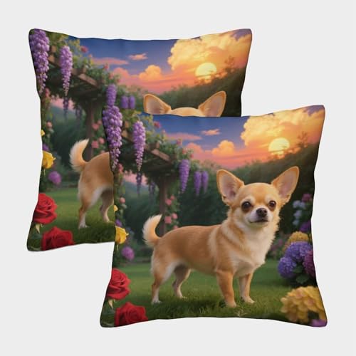 Funda De Cojín con Chihuahua Juego De 2, Microfibra Suave Funda De Almohada con Cremallera Invisible, Fundas Decorativas para Sofá Coche Cama Sillas, 45x45cm