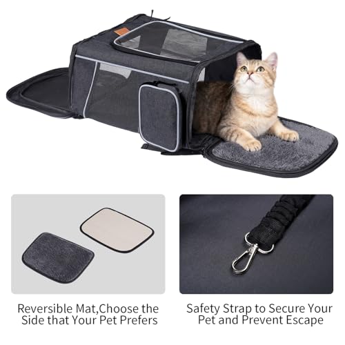 Morpilot Katzenrucksack, Hunderucksack für Katzen und Hunde Welpen, Atmungsaktive und Faltbare Haustier Rucksack mit Transparentes Fenster und Anti-offener Reißverschluss