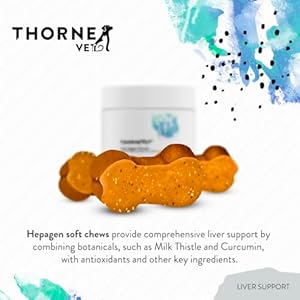 ThorneVET-Liver-Support--Liver-Support-for-Small-Animals-Dogs-Cats-90-Soft-Chews - Cucciolini Doodles   ThorneVET-Liver-Support--Liver-Support-for-Small-Animals-Dogs-Cats-90-Soft-Chews