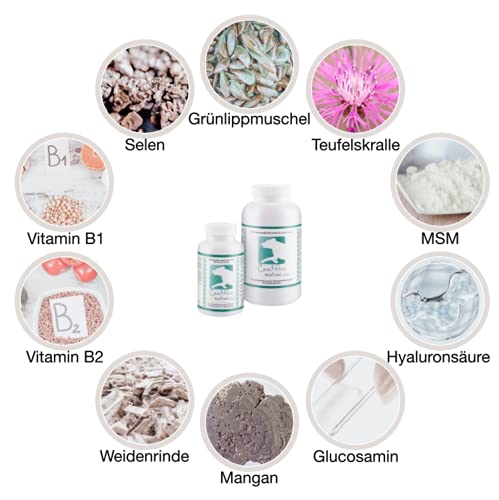 CaniMove Motion mini - 100 hochentwickelte Gelenktabletten für kleine Hunde, mit MSM, Hyaluronsäure, Gag, GLME, tierärztliche Rezeptur (100 Tabletten)