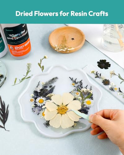 Image of Dried Flowers, Resiners 100Pcs Pressed Flowers for Craft Black Real Natural Dried Flowers Dry Leaves Kit for DIY Making Crafts Resin Soap Candle Scrapbook Supplies Card Making Jewelry