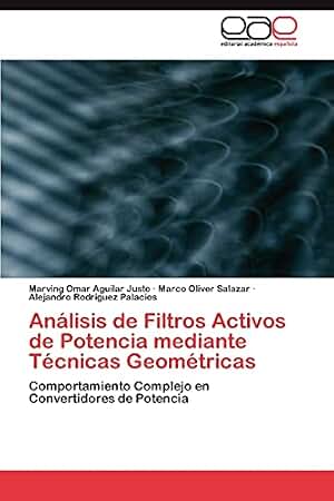 Análisis de Filtros Activos de Potencia mediante Técnicas Geométricas: Comportamiento Complejo en Convertidores de Potencia