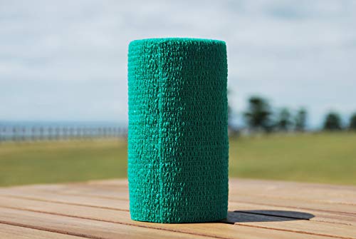 {Yp oe[W (10cm X 4.5mj12×1P[X eF (ΐF)