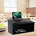 DYNAMI Tabletop Podium Wood,Portable Tabletop Lectern with Storage Room&Baffle Plate,23.75 * 16 inch Slant Reading Surface,for Churches, Restaurants,Classrooms (Black)