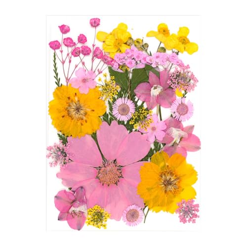 VRԃhCt[tZbgXNbvubLOWG[쐬tHgt[dbP[XubN}[NhCt[