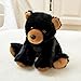 Ditucu Black Bear Stuffed Animal 8 inch Cute Realistic Plush Toys Ultra Soft Plushies Gifts for Kids