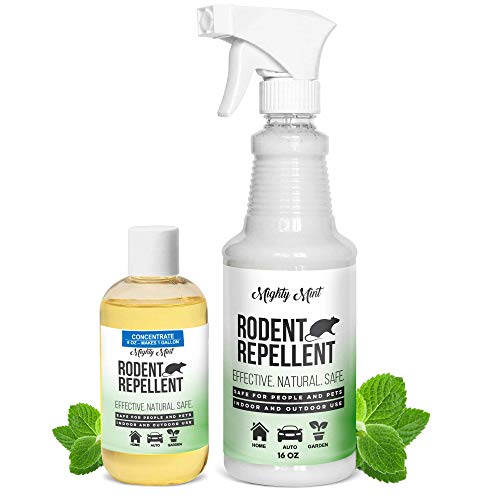 Peppermint Oil Rodent Repellent Spray and Concentrate - Makes 1 Gallon, Non Toxic