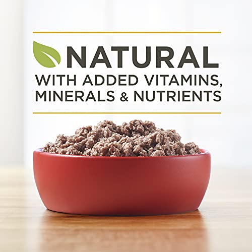 Purina ONE Wet Dog Food True Instinct Classic Ground Grain-Free Formula With Real Turkey And Venison High Protein Wet… - Image 3