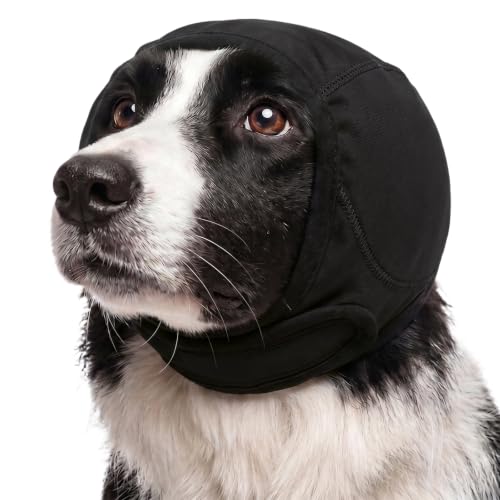 Hoodie apaisante chien avec protection bruit oreilles