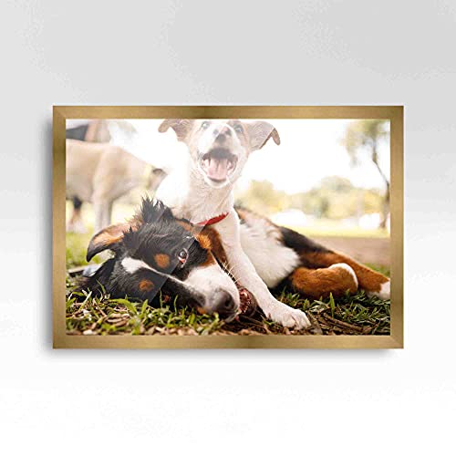 13X17 Frame Gold Bronze Solid Wood Picture Frame Width 0.75 Inches | Interior Frame Depth 0.5 Inches | Bronzo Copper Modern Photo Frame Complete With Uv Acrylic Plexiglass, Foam Board Backing & #TOP1