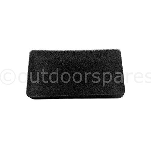 Genuine Cobra DG450 Lawnmower Engine Air Filter For M46C M46SPC RM46SPCE Part No.CO25100134901