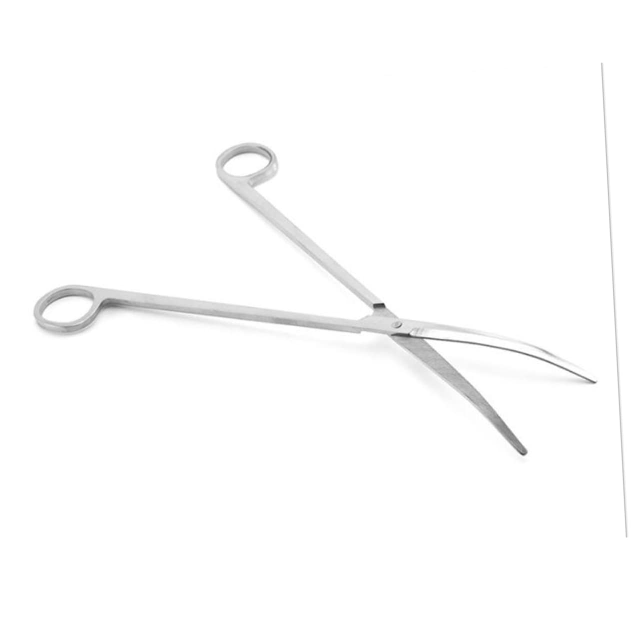 EXCEART 3pezzi Forbici Per Piante Acquatiche Acciaio Inossidabile Con Punta Curva Strumenti Per Acquario Per Potatura Piante Nel Serbatoio