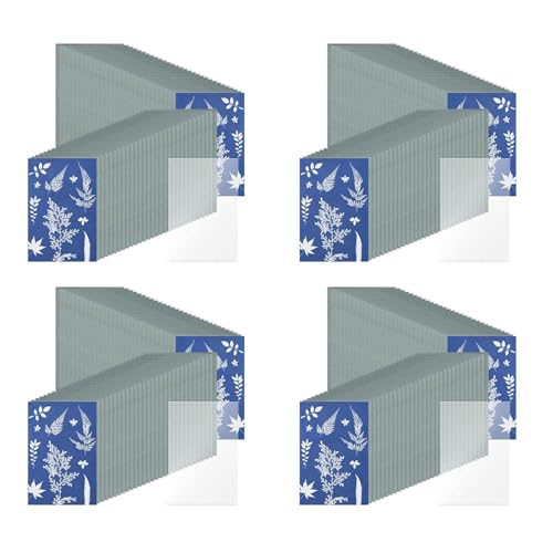 Papier cyanotype pour capter les détails de la nature sans produits chimiques complexes