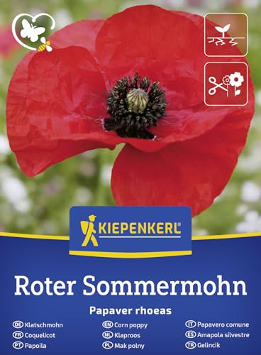 Kiepenkerl Klatschmohnsamen Roter Sommermohn 50928 - rote bienenfreundliche Wildblume für naturnahe Gärten Beete und Blumenwiesen loses Saatgut für ca. 500 Pflanzen einjährig