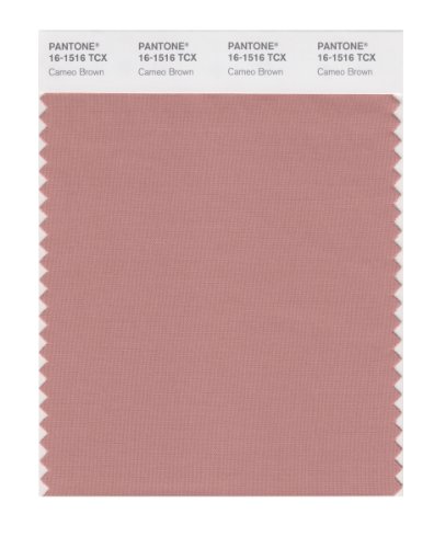 PANTONE SMART 16-1516X Color Swatch Card, Cameo Brown