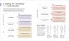 Ciencia del Entrenamiento de Fuerza: Comprende la Anatomía y Fisiología para Transformar tu Cuerpo (La Ciencia del Fitness) Parte de: La Ciencia del Fitness (8 libros) | por Austin Current | 4 de mayo de 2021 8