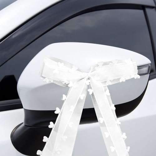 30 Stück Autoschleifen Hochzeit,Autoschleifen Antennenschleifen,Weiß mit Herzen Schleifen für...