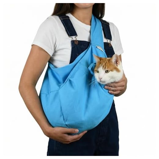 Cozy Comfort Carrier for Large Cats