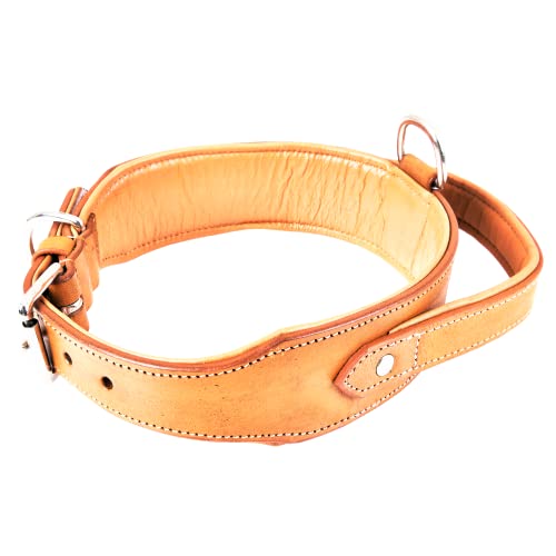 DowgClub, Light Brown, XL (Fit Neck Size 22"-26") - Image 2