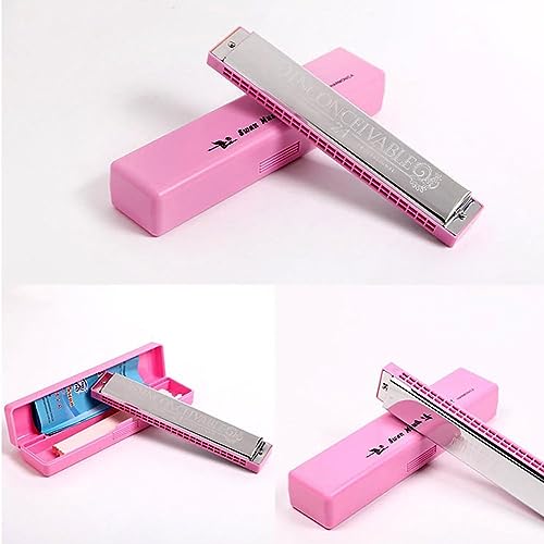 Harmonica trémolo en Do 24 trous aux finitions soignées avec étui - 3